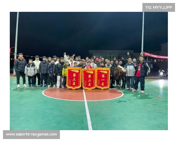 全国锦标赛设置青年组与成年组，覆盖不同体重与年龄段选手。